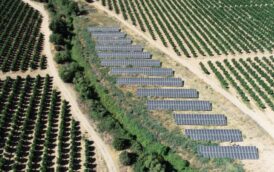 Proyecto Panel Solar en EXPORTADORA IDAHUE